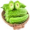 Khổ qua (mướp đắng) VietGAP